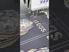 Утюг вышивки на сумке заплаты Вашабле цвета ПМС ориентированные на заказчика